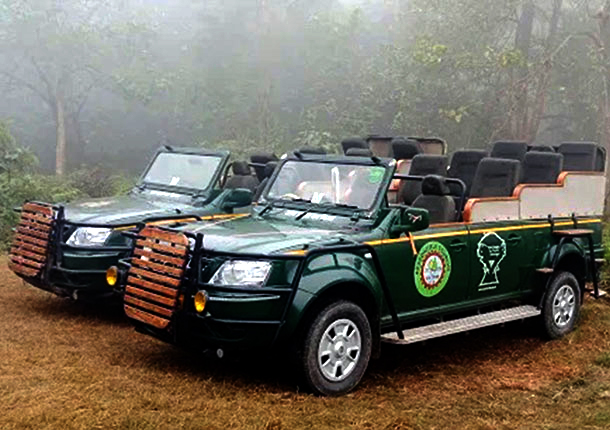 Safari