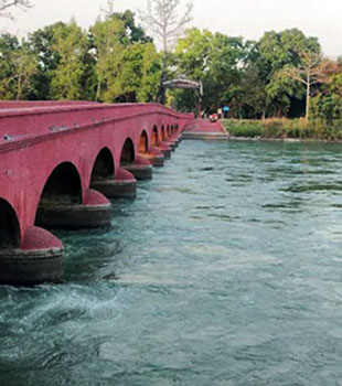 Water Reservoir at Pilibhit Tiger Reserve