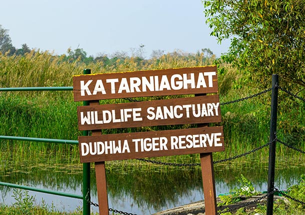 KatarniaGhat Wildlife  image