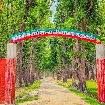 sohagibar  Wildlife  image
